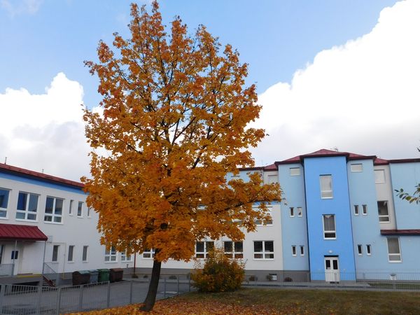 Fotografie školy "Střední zdravotnická škola a Vyšší odborná škola zdravotnická Žďár nad Sázavou"