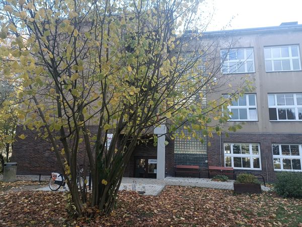 Fotografie školy "Gymnázium Mnichovo Hradiště"